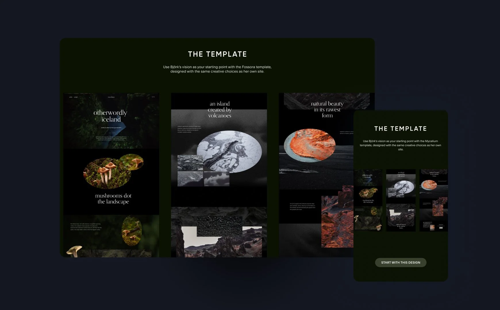 Björk Collection 01 template shown on desktop and mobile