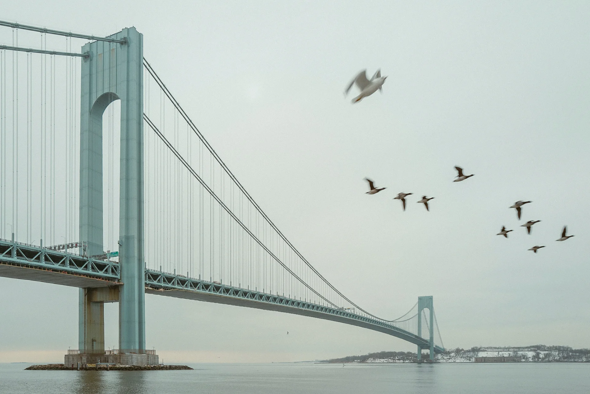 Brooklyn, in winter - photograph 4