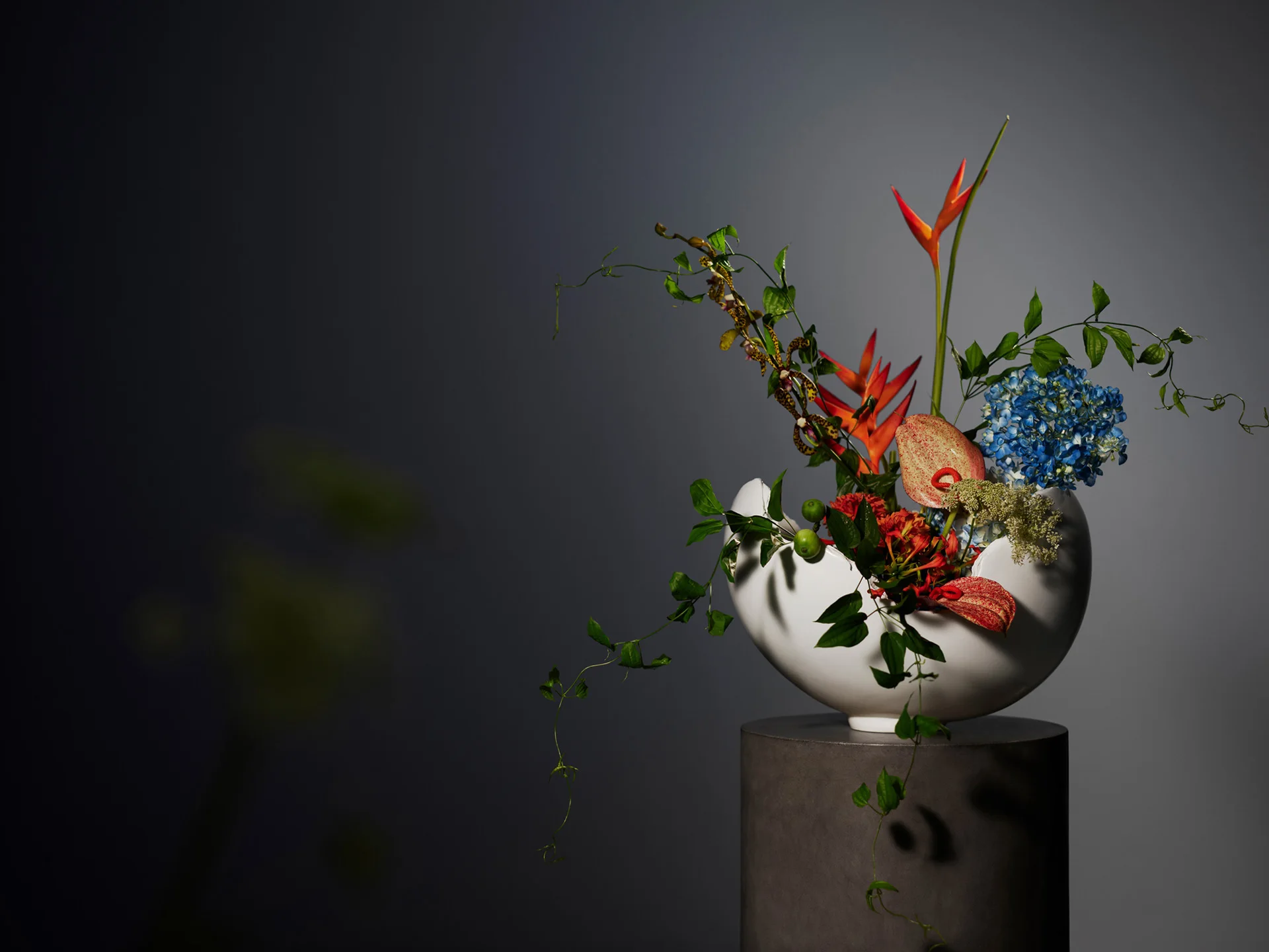 Squarespace - Still life - image 35