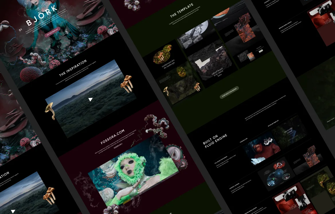 Squarespace - Collection 01 - image 2