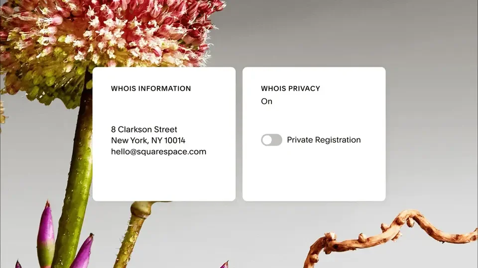 Squarespace - Dot Com - image 13