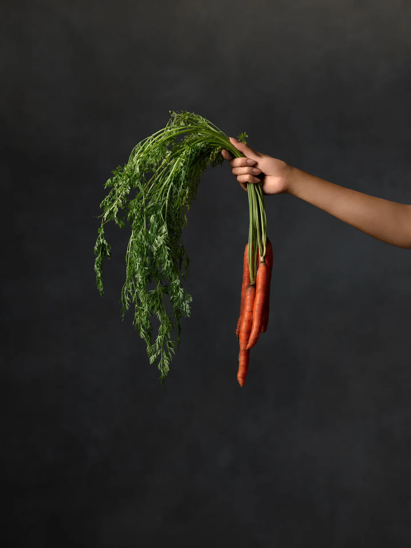 Squarespace - Still life - image 37
