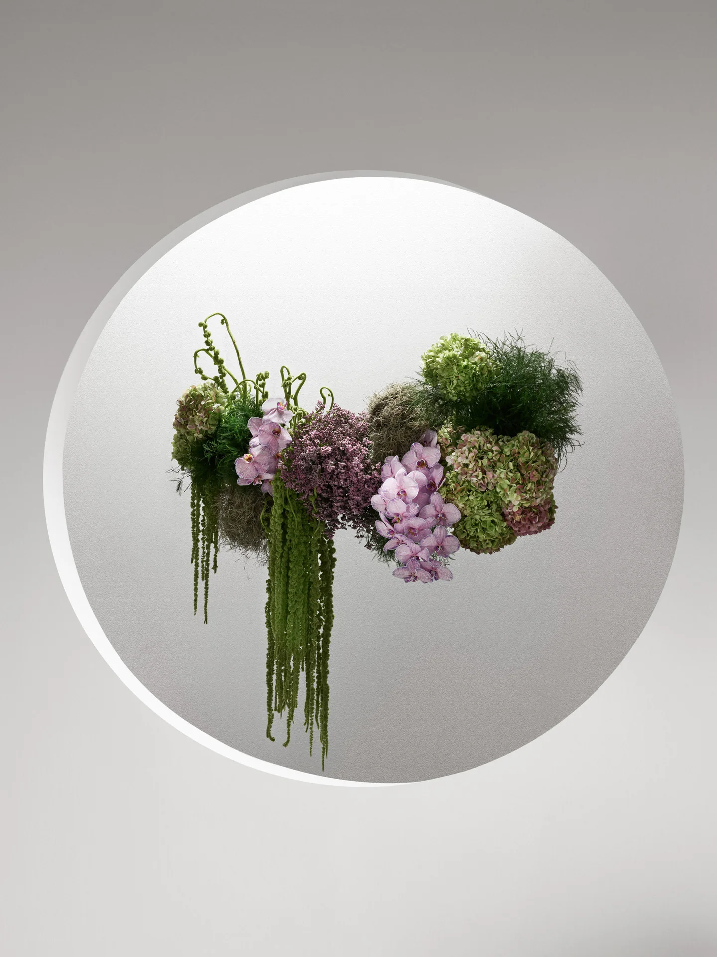Squarespace - Still life - image 32