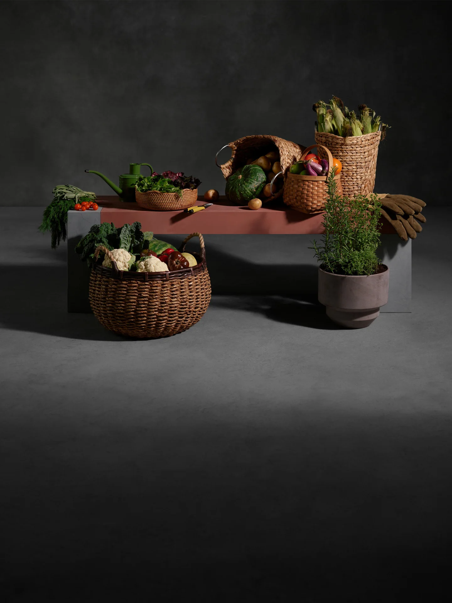 Squarespace - Still life - image 29