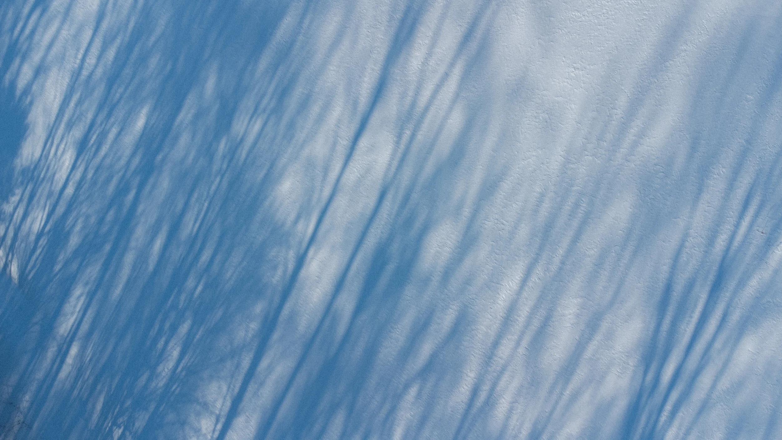 Long blue tree shadows stretching across snow