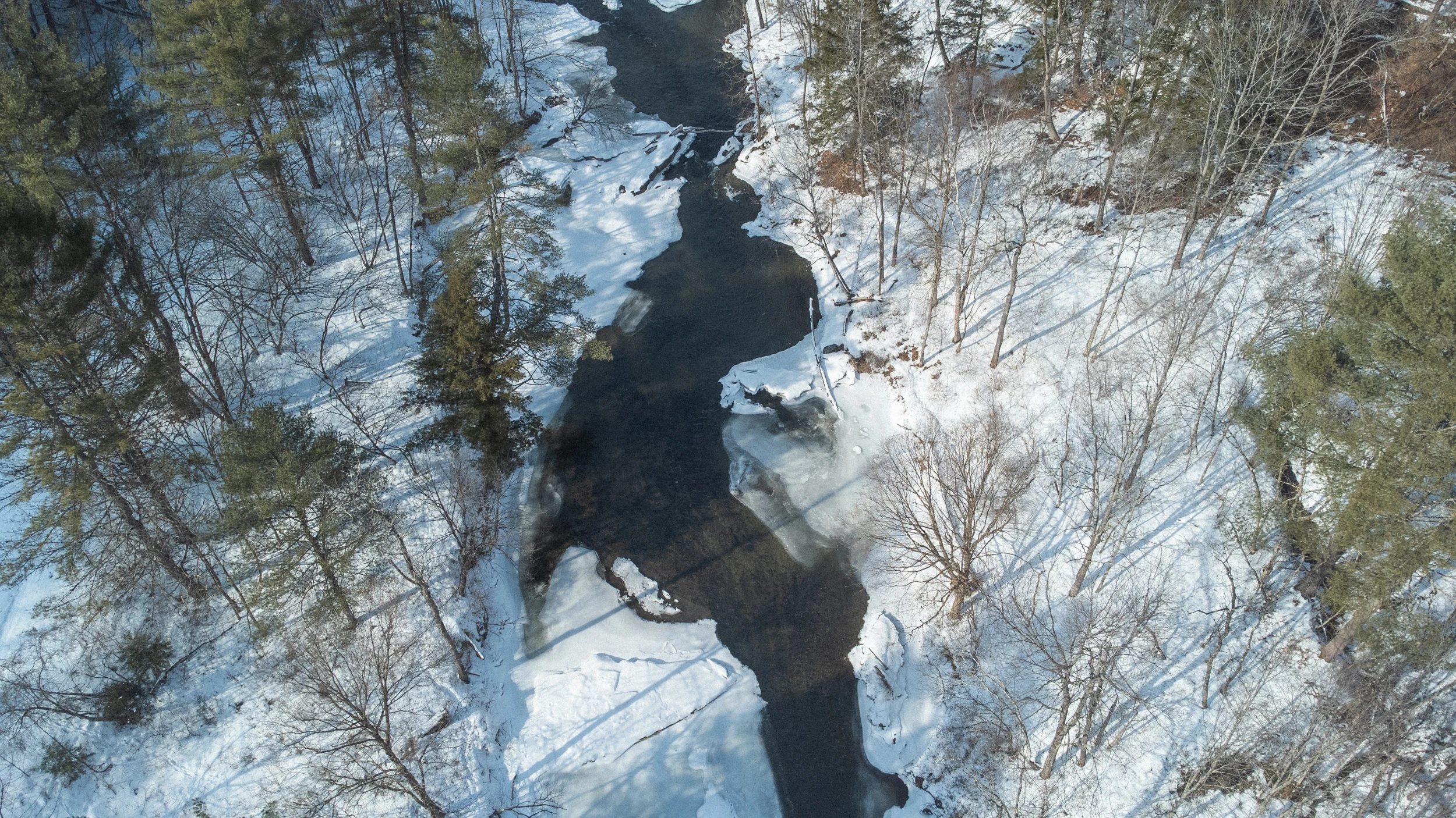A winter river edged with translucent ice and snowy trees